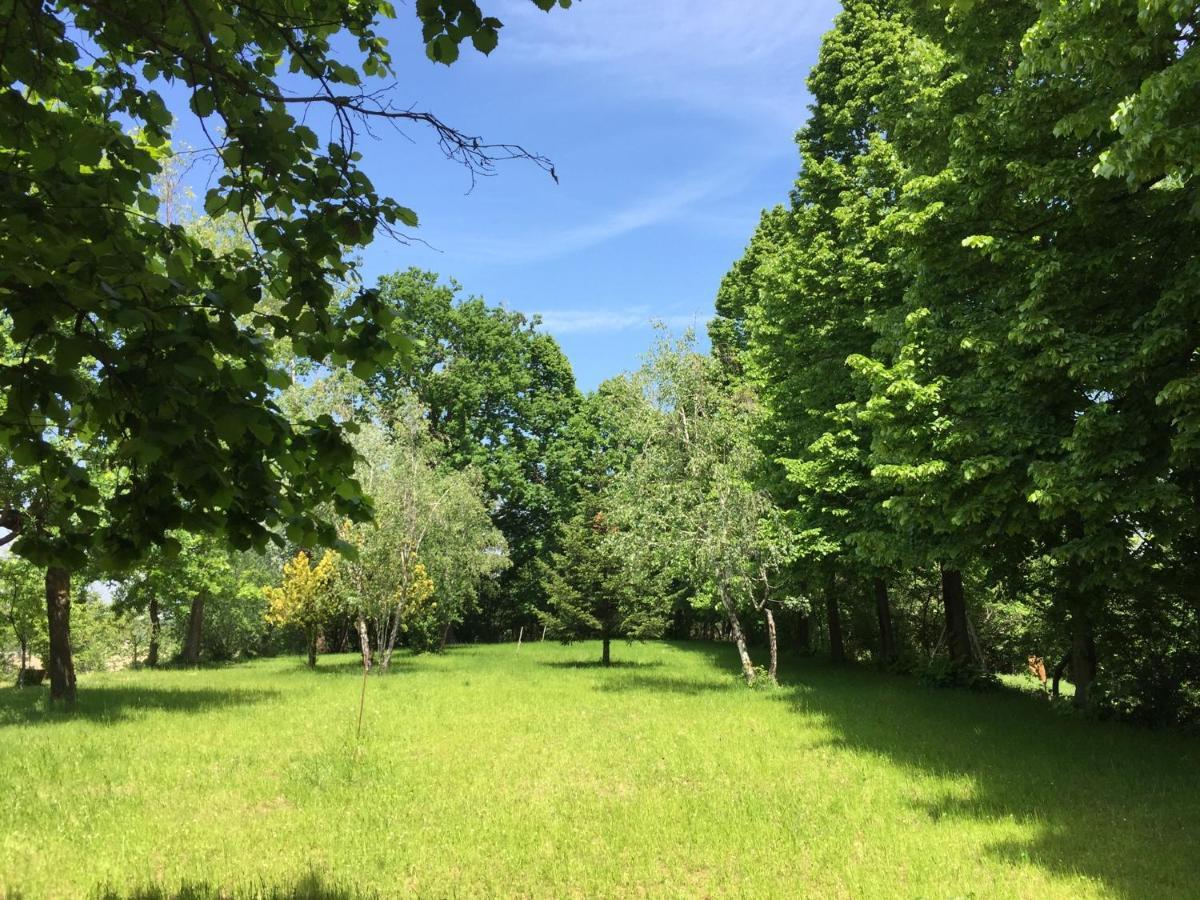Happy Hill - Appartamento Bambu- Natura E Relax Santa Maria Rocca Exterior foto