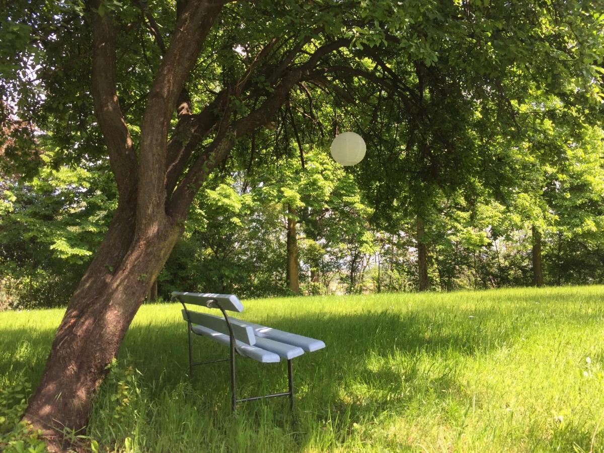 Happy Hill - Appartamento Bambu- Natura E Relax Santa Maria Rocca Exterior foto